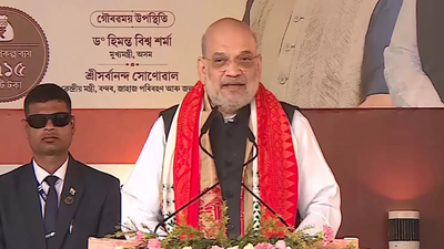 'Disrespected northeast by not wearing gamosa': Amit Shah blasts Rahul Gandhi in poll-bound Assam